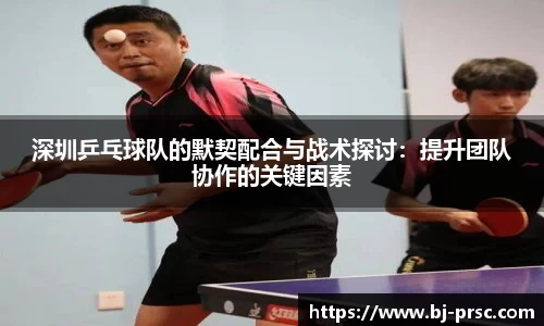 深圳乒乓球队的默契配合与战术探讨：提升团队协作的关键因素